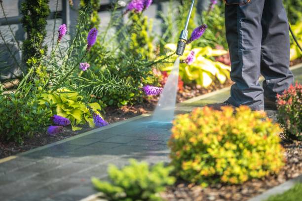 Best Post-Construction Pressure Washing  in Vero Lake Estates, FL