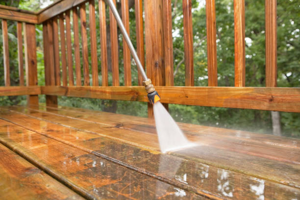 Best House Exterior Washing  in Vero Lake Estates, FL